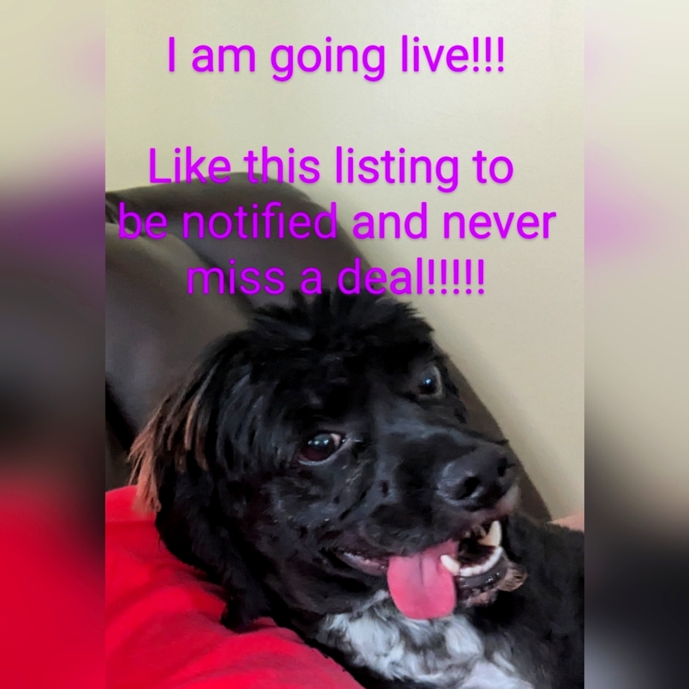 Live Show Notification!!!!
